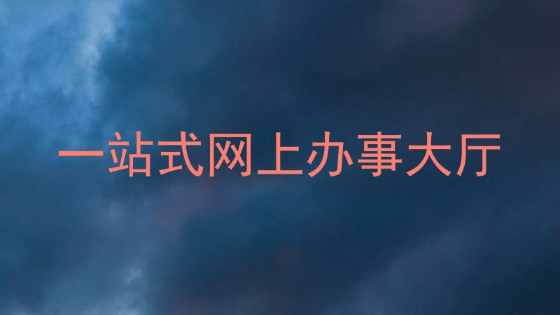 一站式网上办事大厅
