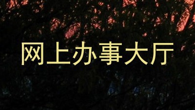 网上办事大厅
