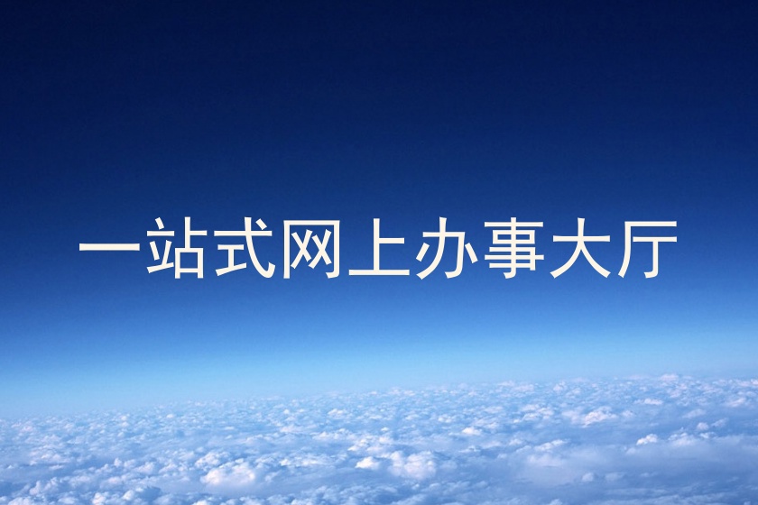一站式网上办事大厅