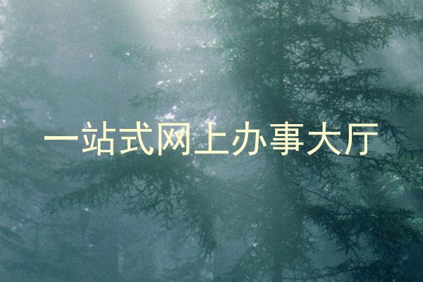 一站式网上办事大厅
