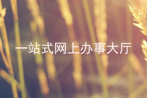 一站式网上办事大厅