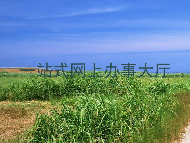 一站式网上办事大厅