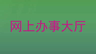 网上办事大厅