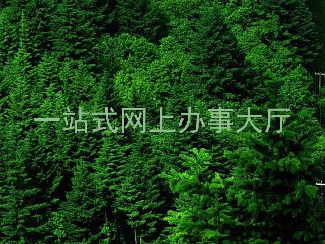 一站式网上办事大厅
