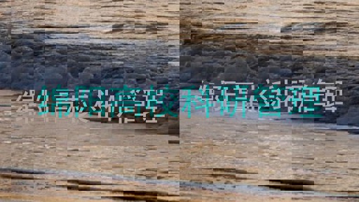 绵阳高校科研管理