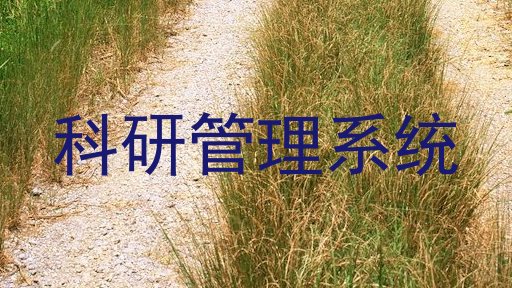 科研管理系统