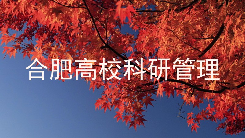 合肥高校科研管理