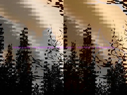 常州科研成果管理、科研成果管理系统特色、常州科研成果转化、科研成果管理工具、提升科研效率方法