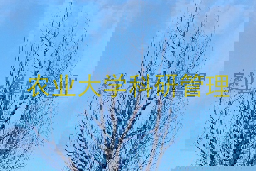 农业大学科研管理