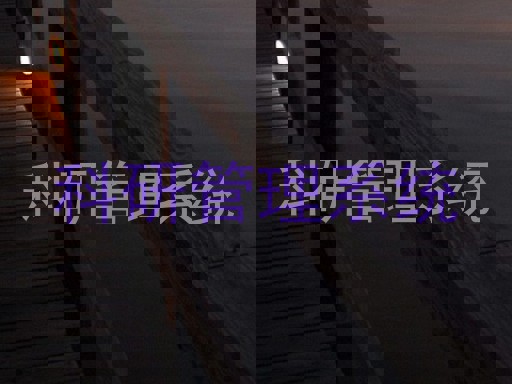 科研管理系统
