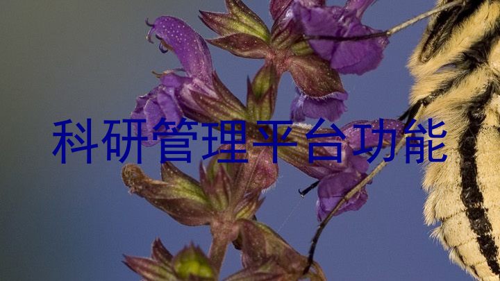 科研管理平台功能