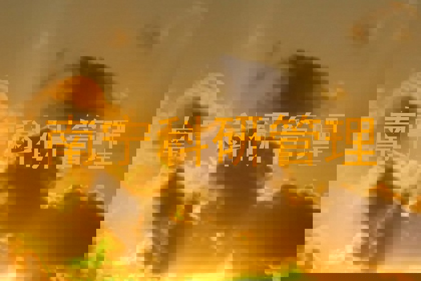南宁科研管理