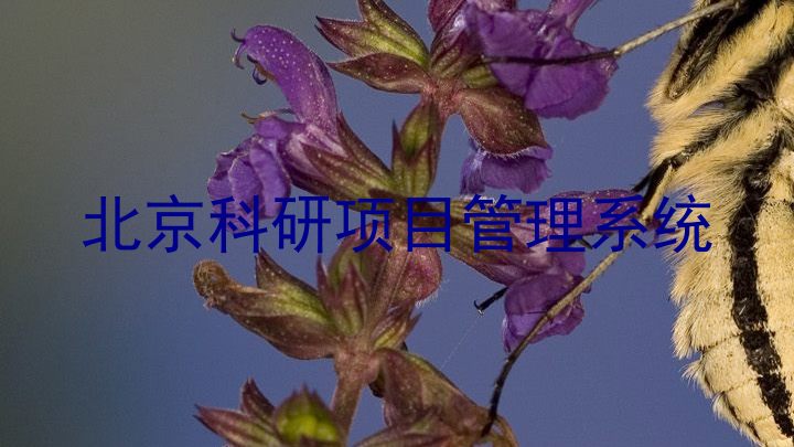 北京科研项目管理系统