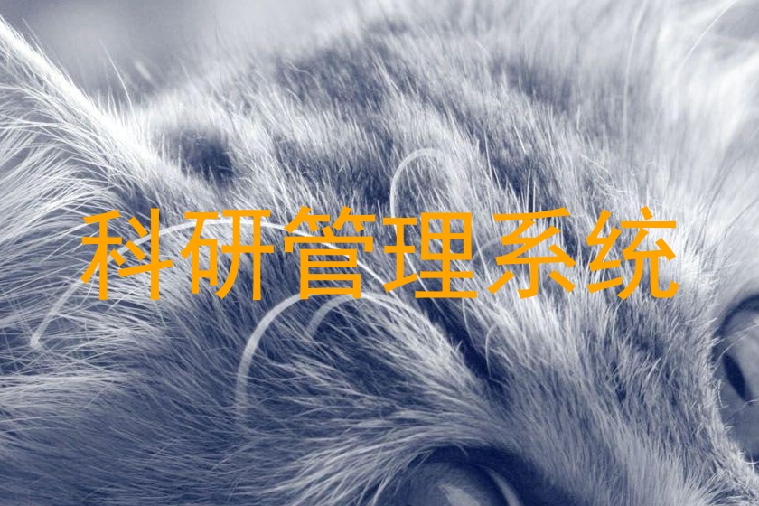 科研管理系统