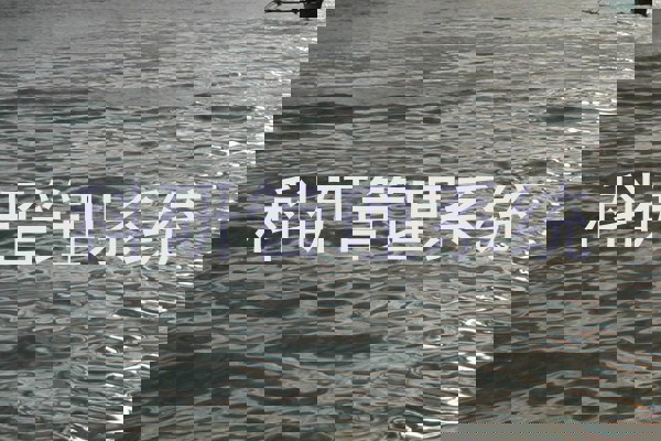 科研管理系统