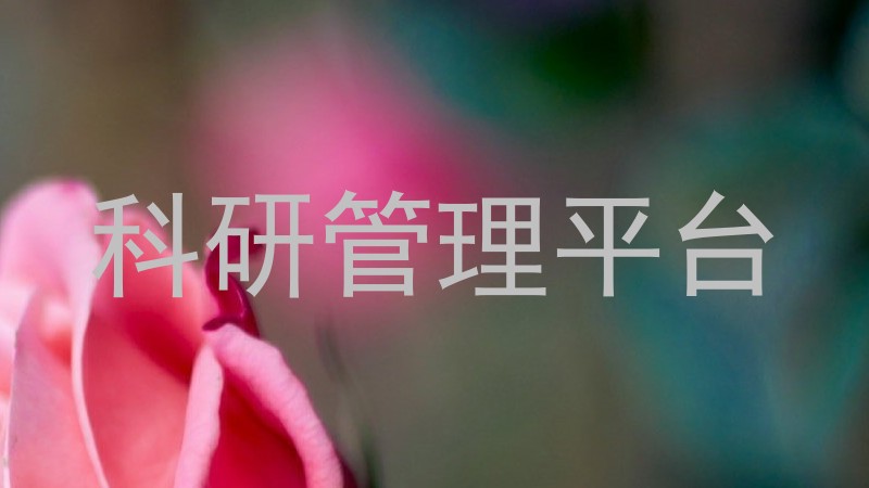 科研管理平台