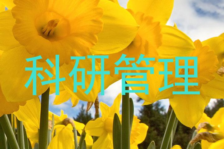 科研管理