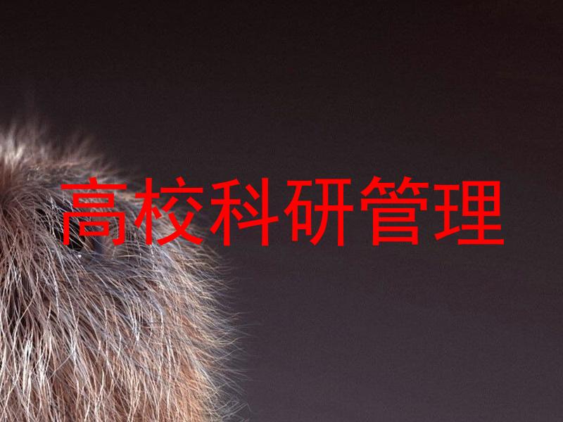 高校科研管理