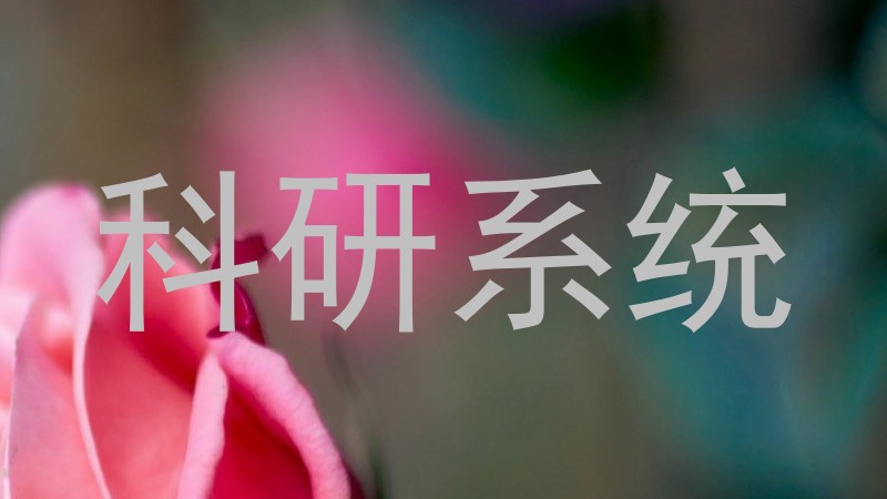 科研系统