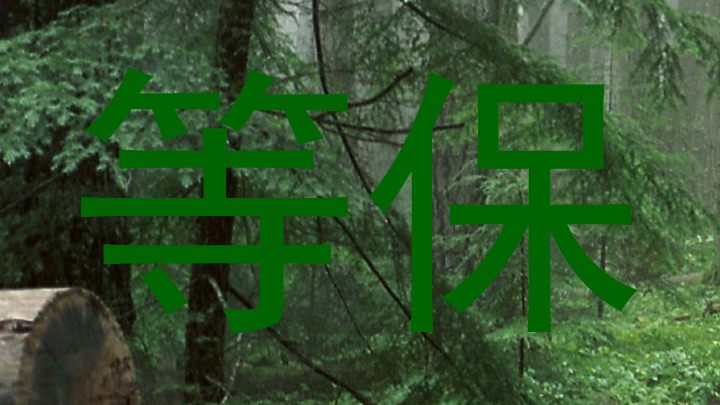 等保