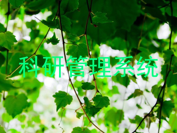 科研管理系统