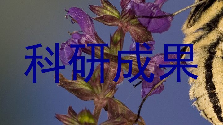 科研成果