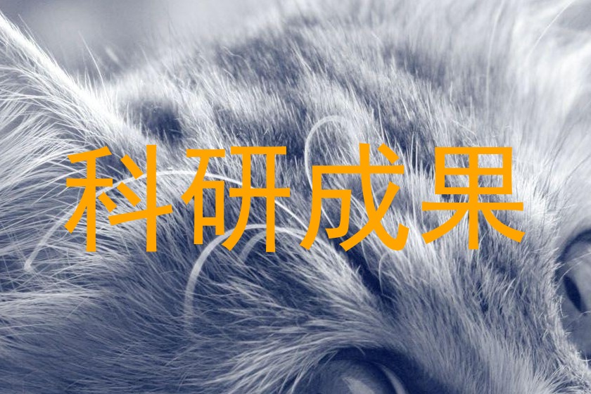 科研成果