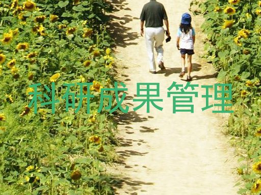 科研成果管理