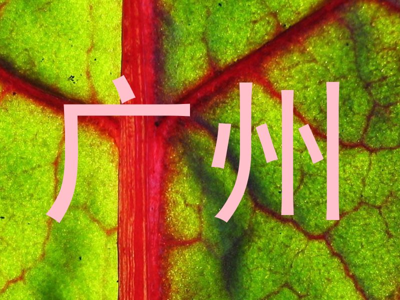 广州