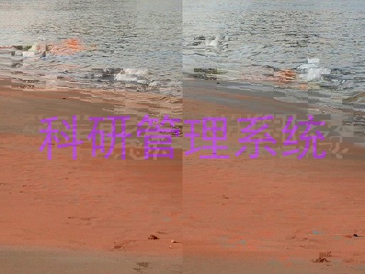 科研管理系统