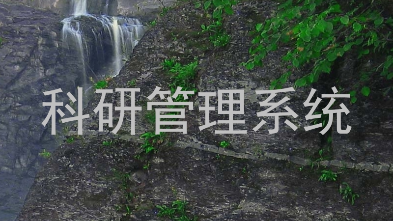科研管理系统