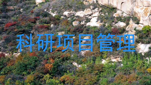 科研项目管理