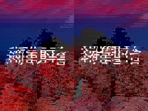 科研管理平台