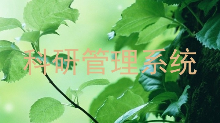 科研管理系统