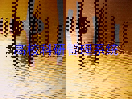 高校科研管理系统