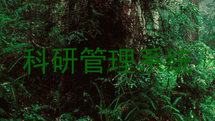 科研管理系统