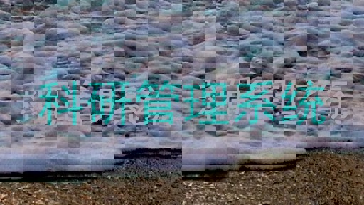 科研管理系统