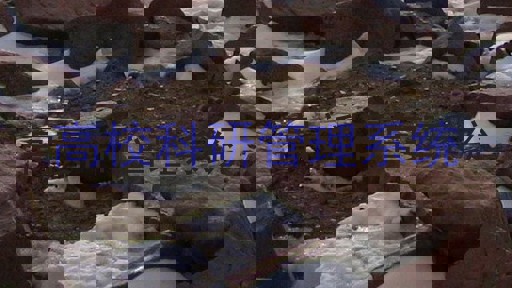 高校科研管理系统