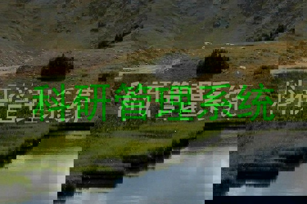 科研管理系统