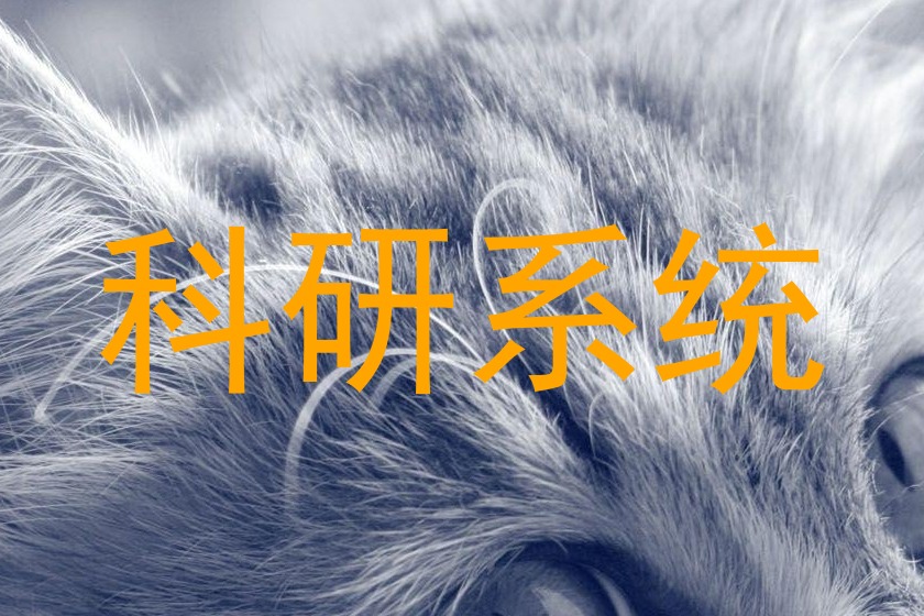 科研系统
