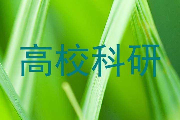 高校科研
