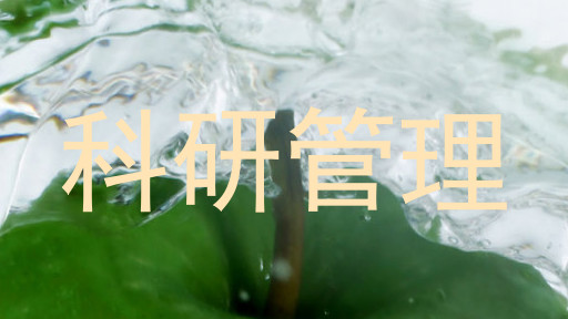 科研管理