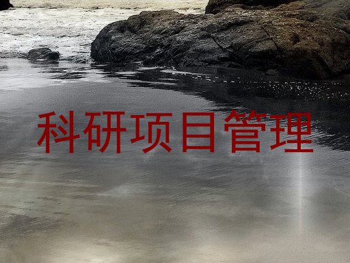 科研项目管理
