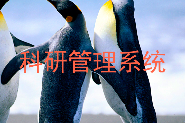 科研管理系统