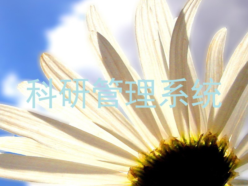 科研管理系统