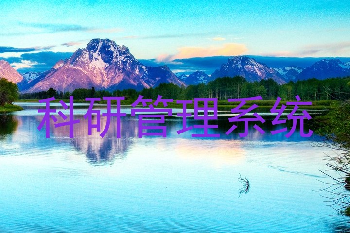 科研管理系统
