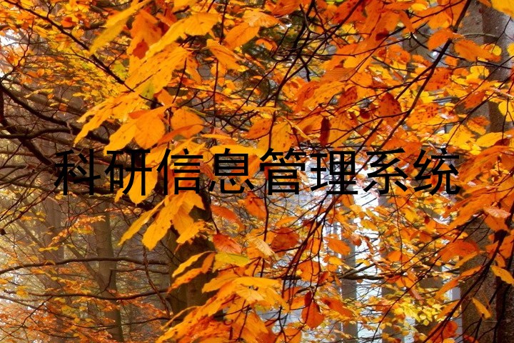 科研信息管理系统