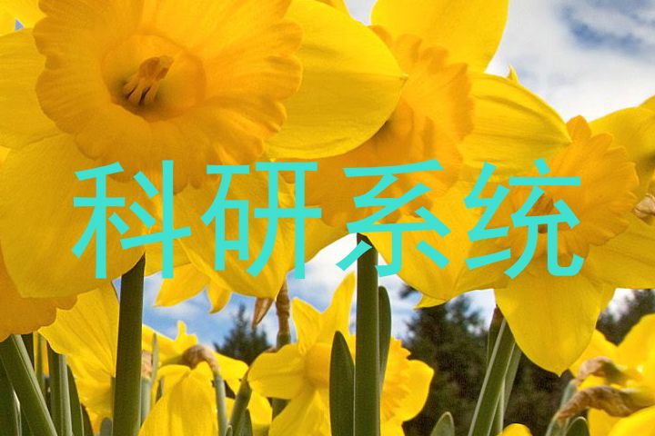 科研系统