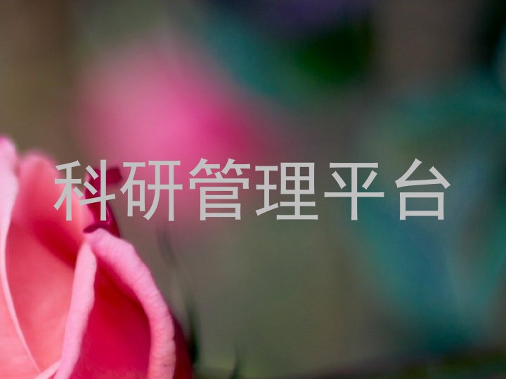 科研管理平台