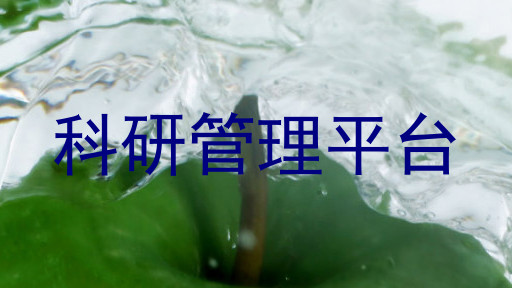 科研管理平台